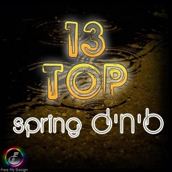 Top 13 Spring D'n'B