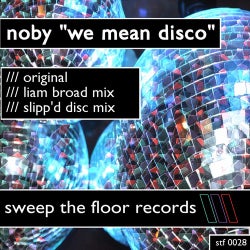 We Mean Disco