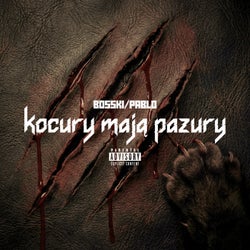 KOCURY MAJĄ PAZURY