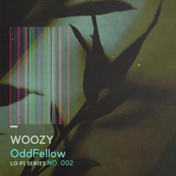 WOOZY (Lo-Fi Series)