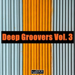 Deep Groovers Vol. 3