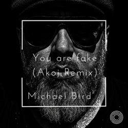 You are fake - Akoj Remix