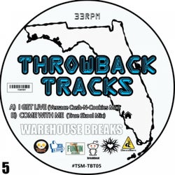 Throwback Tracks: Warehouse Series, Vol. 5