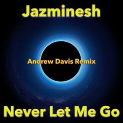 Never Let Me Go (Andrew Davis Remix)