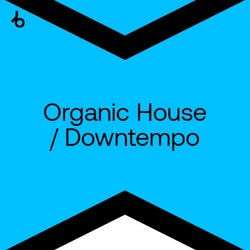 Best New Hype Organic House / Downtempo: Oct
