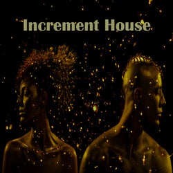 Increment House feat. Sakin
