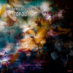 Experience Electronic Top 20