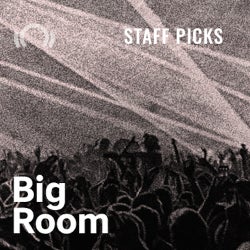 Cratedigger Staff Picks - Big Room