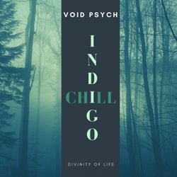 Divinity Of Life