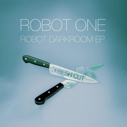 Robot Darkroom