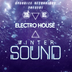 Electro House Winter Sound