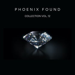 Phoenix Found Collection Vol. 12