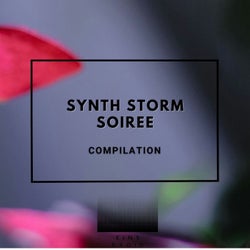 Synth Storm Soiree
