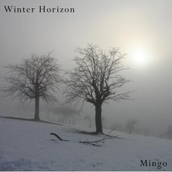 Winter Horizon