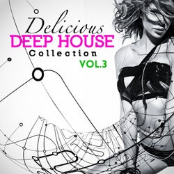Delicious Deep House Collection Vol.3