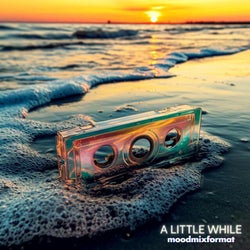 A LITTLE WHILE