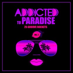 Addicted To Paradise, Vol. 2 (25 Groove Rockets)