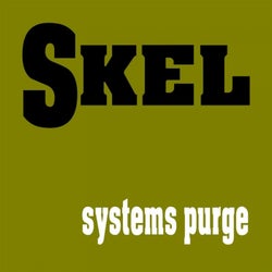 systems purge