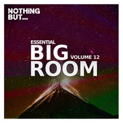 Nothing But... Essential Big Room, Vol. 12