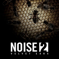 Noise 2