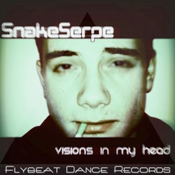 Visions in My Head