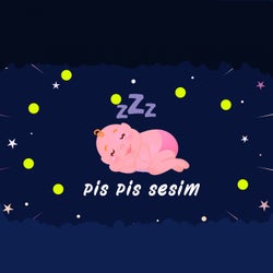 Pis Pis Sesim