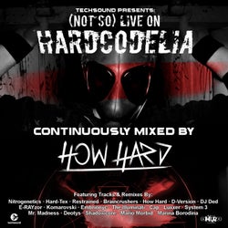 (Not So) Live on Hardcodelia Colombia (Continuously Mixed by How Hard)