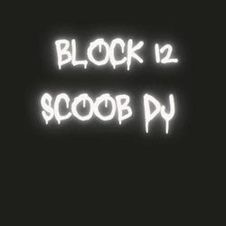 BLOCK 12