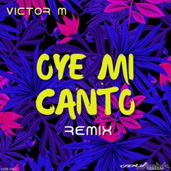 Oye Mi Canto (Remix)