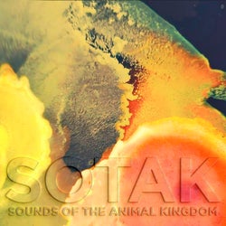 Sounds of the Animal Kingdom