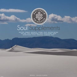 VA Soul Supplements