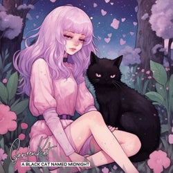 A Black Cat Named Midnight