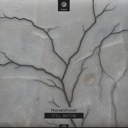 Still Waiting