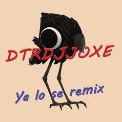 Ya Lo Se (Dtrdjjoxe Remix)