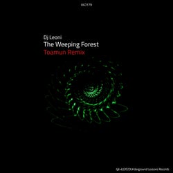 The Weeping Forest (Toamun Remix)