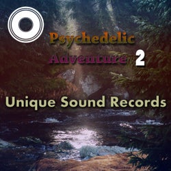Psychedelic Adventure 2