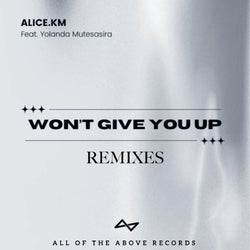 Won't Give You Up Chart
