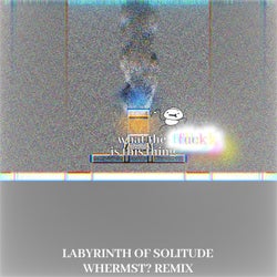 Labyrinth of Solitude (WHERMST? remix)