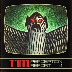 Perception Report 4
