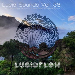 Various Artists - Lucid Sounds, Vol. 38 (A Fine and Deep Sonic Flow of Club House, Electro, Minimal and Techno)