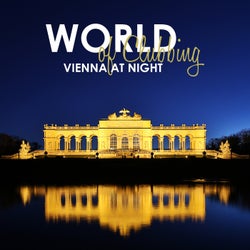 World of Clubbing: Vienna At Night