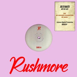 Key of Life (Nu Ground Foundation Re-Mixes)