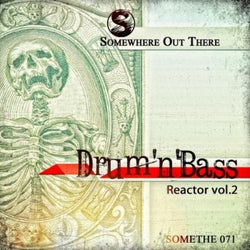 Drum'n'Bass Reactor, Vol. 2