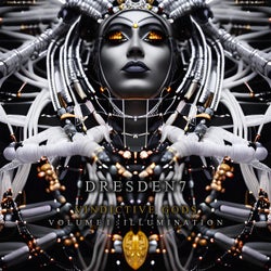 VINDICTIVE GODS (VOLUME I: ILLUMINATION)