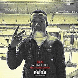 What I Like (feat. Young Donar)
