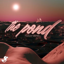 The Pond (flicky Remix)