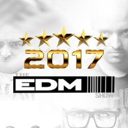 The EDM Show Best of 2017