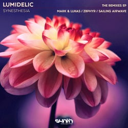 Synesthesia [The Remixes]