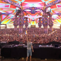 Avalon Summer Festival Favourites