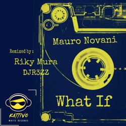 What If (The remixes)